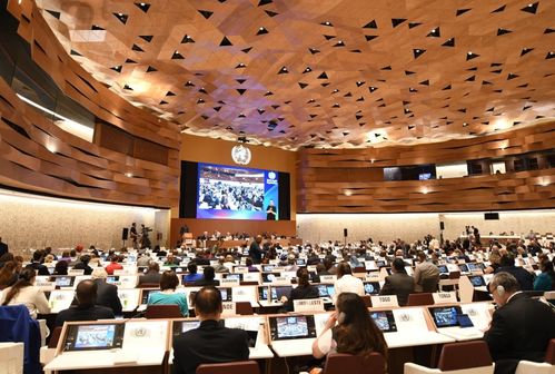 盧沙野大使談臺(tái)海局勢(shì) 決不允許臺(tái)灣從祖國(guó)分裂出去